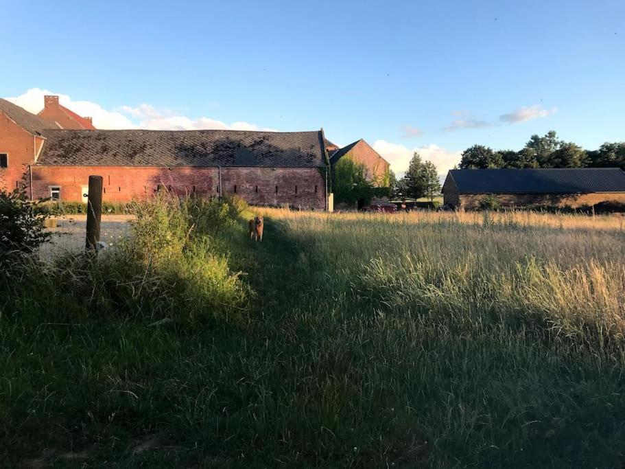 Le Cottage - Maison De 6 A 8 Personnes - La Ferme Du Try Frasnes-lez-Gosselies Esterno foto